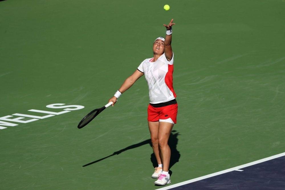 不仅展示了 不仅展示了